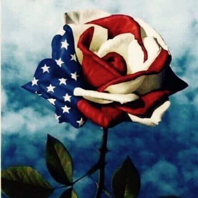 absolutely no porn🚫, I’m married and I’m not looking for a relationship! I love Jesus✝️, my family and my country 🇺🇸