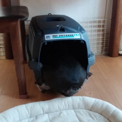 ツイッターしたこと無いので、色々教えていただくと有り難いです。宜しくお願いしますm(_ _)m