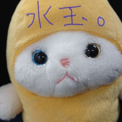 アイドルのパフォーマンスを観るのが好き。SHINee/EXO/NCT/SEVENTEEN/ORβIT/StrayKids/旧ジャニと邦ロックも好き。EαRTH一期星。おとなSTAY。
