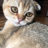 Kïnu&Mars (@kinumars) Twitter profile photo