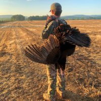 Luke Ivey (@lukeivey1) 's Twitter Profile
