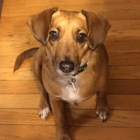 Jacaclawless (@jacaclawless) 's Twitter Profile