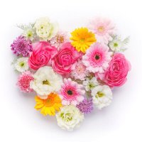 junko (@junko_ruya) 's Twitter Profile Photo junko (@junko_ruya) 's Twitter Profile Photo