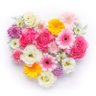 junko_ruya's profile picture. 歩くことが好きです𖤣𖥧𖥣𖡡𖥧𖤣😊お散歩やウォーキングを楽しみながら写真を撮っています🌷🍀🌤️/ウォーキング/花/空/イマソラ/スマホ写真/小さな発見を楽しみたい/いいな✨と感じた事をカタチにしていきたいです.:*･ﾟ♡･*