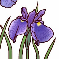 IRIS9999 (@iris99992) 's Twitter Profile