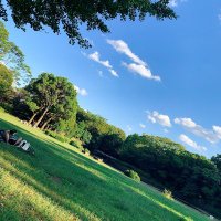 崖っぷち (@gakeko2020) Twitter profile photo