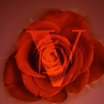 V Rose CCS offers substance abuse counseling, court-ordered Anger Management and Empowerment Coaching.