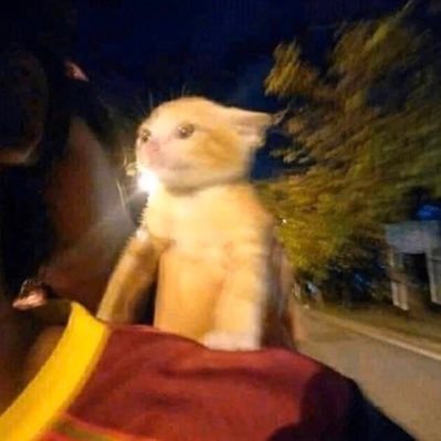 marisavance_'s profile picture. 