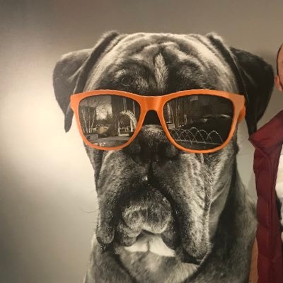 topraktolga's profile picture. 