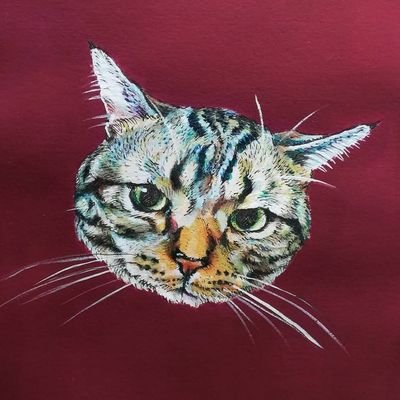 😸猫のぎんと😁おやじ(パパ)と、時々出演の🐱野猫の(ぶっちゃん)の、「気ままな絵日記」です。 難しい事は書けないので、とりとめの無い出来事ばかりです!気楽に覗いてクスっと笑ってもらえればハッピーです💝