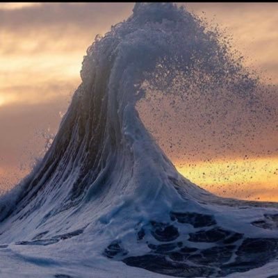 Anna21938490's profile picture. 🐠