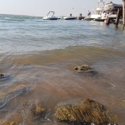 AndreaRomero153's profile picture. 