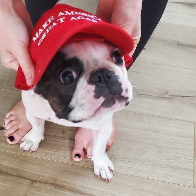 Joined Twitter October 2020. American patriot who wants to be informed and inform others of REAL news.
Love Family, God, and Country