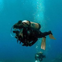 adrienne chan (@adrienneylc) 's Twitter Profile