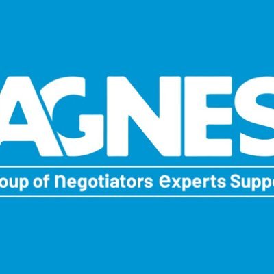AGNES is a continental think tank that provides technical support to the AGN that advances common Africa position on climate change under UNFCCC
