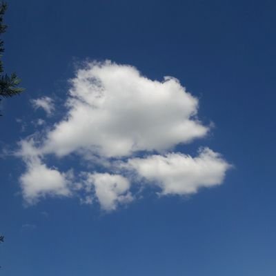 StefanieStueber's profile picture. 