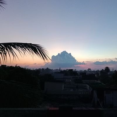 SUMITAN75372066's profile picture. News Breaking News Government and Politics