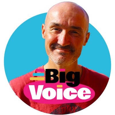 BigVoiceLtd Profile Picture