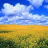 O3mX3j1d1zCUmKK's profile picture. Донецьк- це Україна!