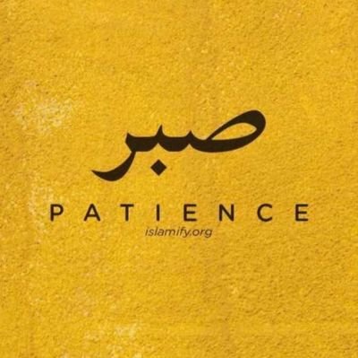 AbdulmuheezJ's profile picture. Been a trader, it a great pleasure