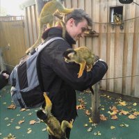 Matt Dobson (@matt_dobby996) 's Twitter Profile