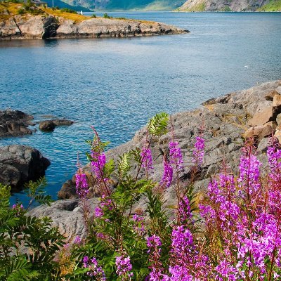 RGupthar's profile picture. Not ready for 7th suspension 🙏
Justic4SSR
ISBP member