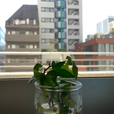 mikoto_hanabusa's profile picture. she/her here to just spill my inner dialogs so that it won’t stay in my head. please ignore