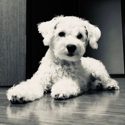 Yks ああ ゴースの赤子が海に還る 呪いと海に底は無く 故に全てを受け入れる