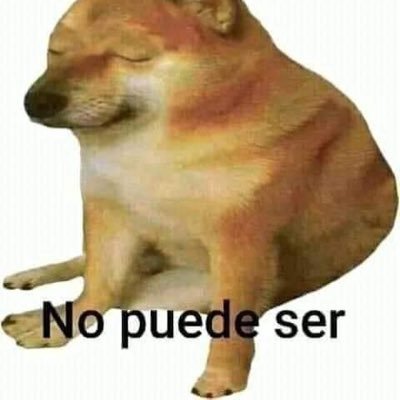 DonPatoskiCL's profile picture. 