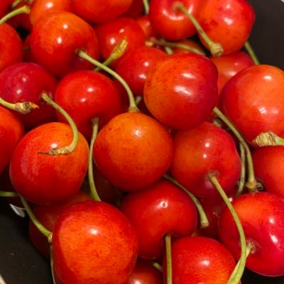 一味唐辛子は好きですか Karasa No Umami Twitter 一味唐辛子は好きですか Karasa No Umami Twitter