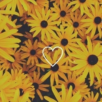 WanBeau's profile picture. Menjadi biasa saja itu,  tak apa