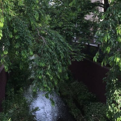po_i_n_k's profile picture. 普通の社会人 ゆるーくポイ活とか懸賞(企業メイン)とか公営競技とか企業アカウント眺めたりとか 他:ゲーム、御朱印巡り、旅など、ビッカメ娘は箱推し、最近はご当地Vも推し 日常などそれ以外のことも呟きます 投資・アダルト即ブロ #あつまれ企業キャラ ←閲覧用