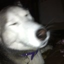 Brad Weghorst - @brad830218 - Twitter