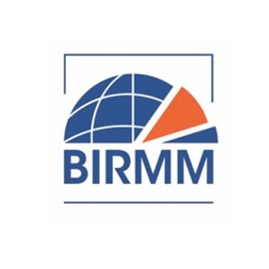 BIRMM joins the expertise of more than 100 VUB researchers on migration and minorities.