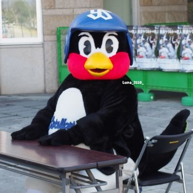 るな Rn るんな Pa Twitter 公式さん配布の壁紙 色々種類が有って悩んだけど こちらにしましたー つば九郎 つばみ Swallows 燕兄妹尊い おうちで燕分補給