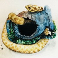 🍀カフェ・モカ☕🐍 (@cafe_mocha_rep) 's Twitter Profile
