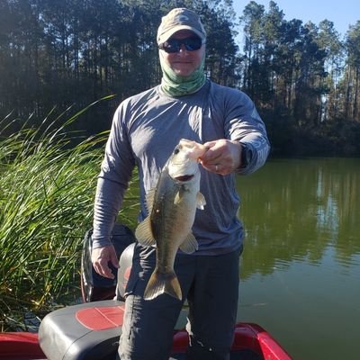 BayerWhite's profile picture.