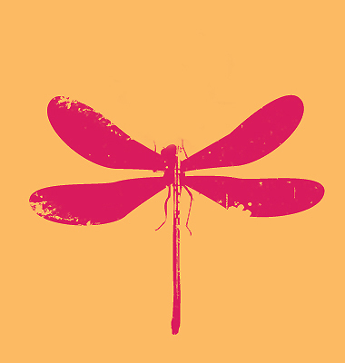 Dragonias13's profile picture. Parks Enthusiast/Mother/Foodie/Runner/Musician