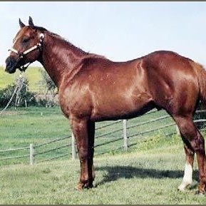 TruthBT83694853's profile picture. Conservative, Believer in Jesus Christ,