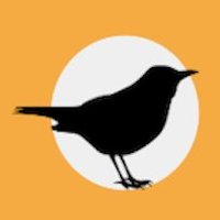Tresor de recursos (@recursostresor) 's Twitter Profile Photo Tresor de recursos (@recursostresor) 's Twitter Profile Photo