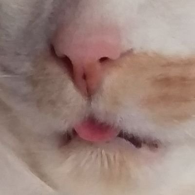 こさんのプロフィール画像