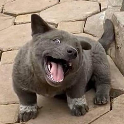 PhiNguy55965605's profile picture. A Human