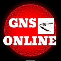 GNS ONLINE(@OnlineGns) 's Twitter Profile Photo