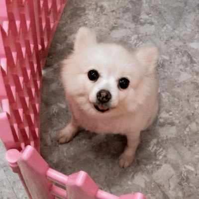 ww1020__'s profile picture. 妖魔鬼怪離我遠點 ㄉㄨ也是^ - ^