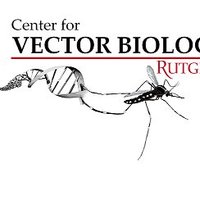 Center for Vector Biology (@rutgerscvb) 's Twitter Profile