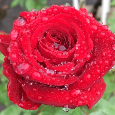 miisan_mz's profile picture. (ヘッダはSideM公式配布物を使用) 好きなものを愛でています 成人済 お酒飲みます DOMOTO/SideM(W)/ヒプマイ、ヒプステ(MTC)/ゆかり王国/花奈さん/浅沼さん/植原さん/さらに好きなものいっぱい