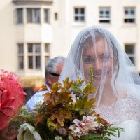 Alice Smith (@alicewhalley) 's Twitter Profile