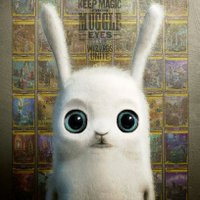 Conejo Mágico ⚯͛ !! (@alex_royt) 's Twitter Profile