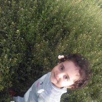 Murat KENDAL (@m_kendal21) 's Twitter Profile