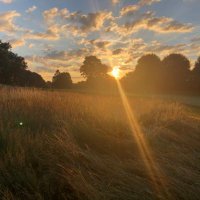 Andrew Cross, CGCS (@acrossturf) 's Twitter Profile